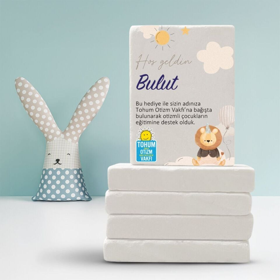 Doğal Taş Magnet | Aslan